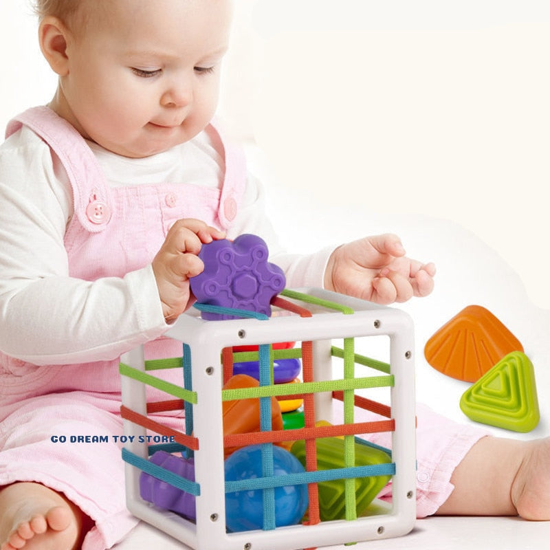 Colourful Shape Blocks Sorting Game