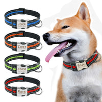 Custom Nylon Dog Collar with Engraved ID Reflective Tag