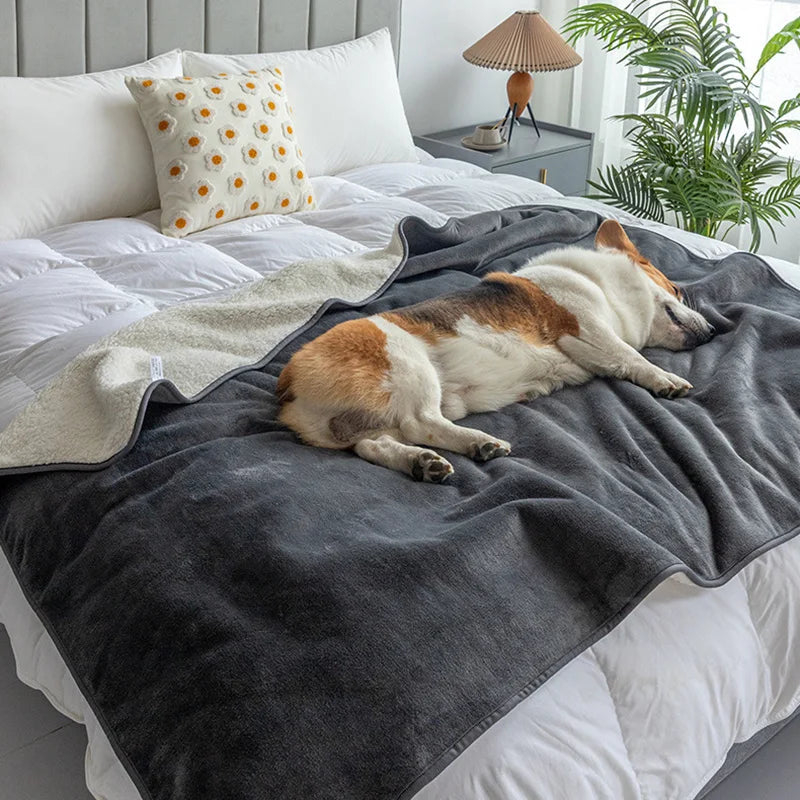 Premium Waterproof Pet Blanket