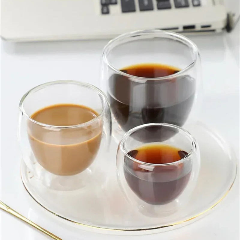 Double Wall Insulated Glass Mug