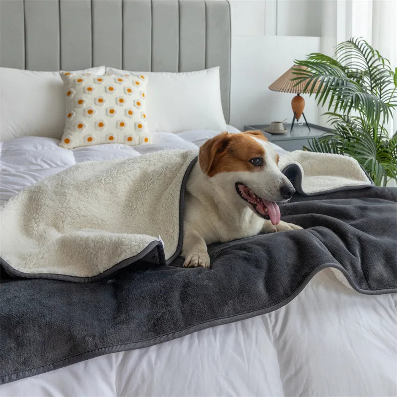 Premium Waterproof Pet Blanket