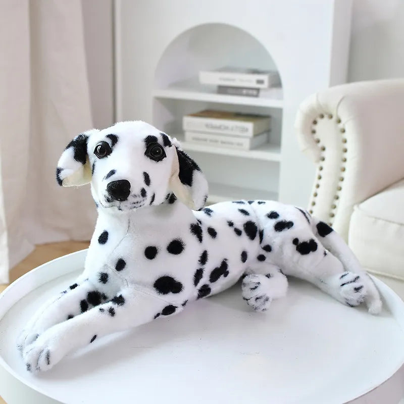 Dalmatian plush shop