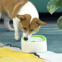Slow Water Feeder - Drinking Fountain Bowl for Dogs & Cats
