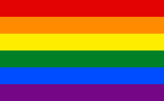Large Polyester Pride Flag LGBTQ+ Community