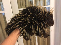 Porcupine Puppet Toy