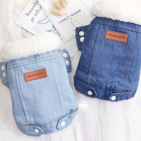 Winter Dog Jackets - Denim and Trench Coat