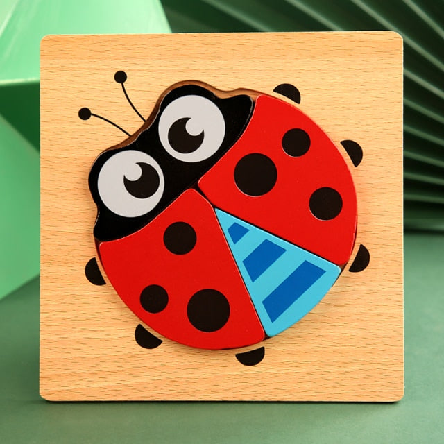 Educational Wooden Puzzles