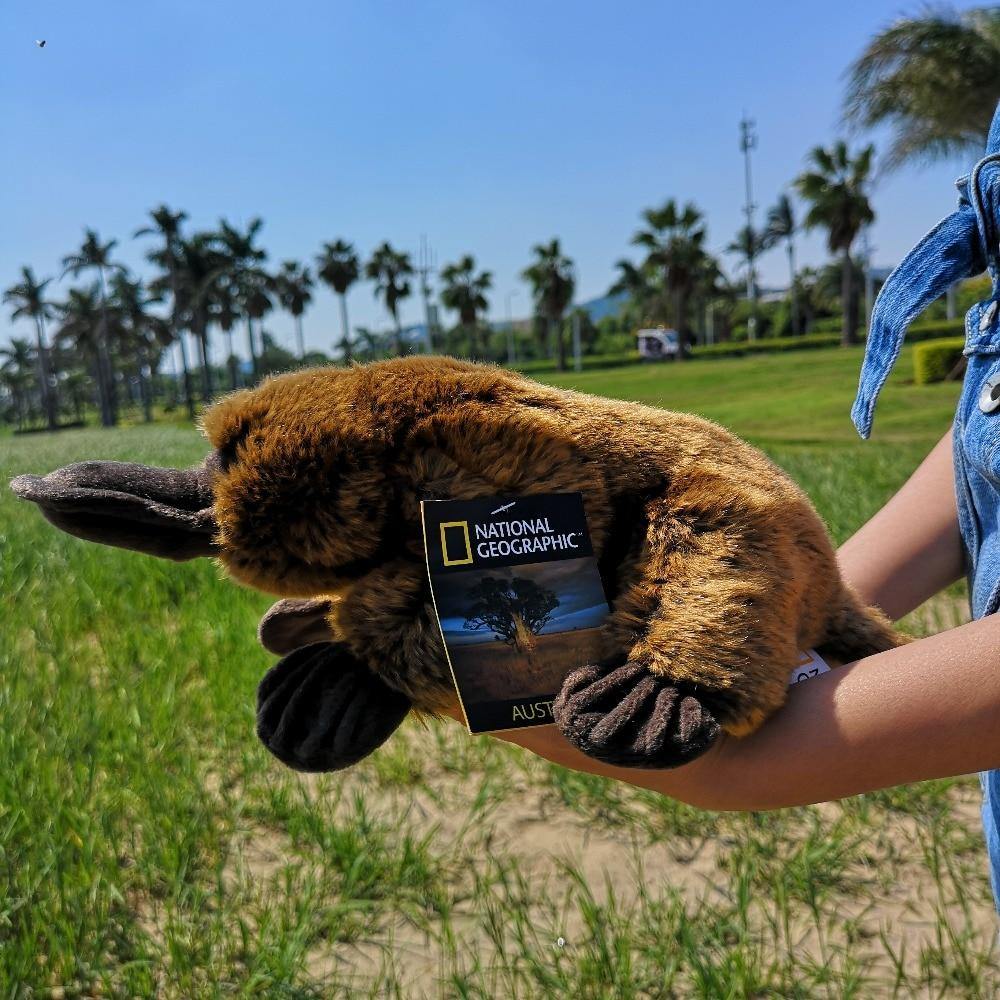 National Geographic 10.5"Brown Platypus Plush Regular Soft Stuffed Animal Collection Doll Toy with Tag - Australia Gifts