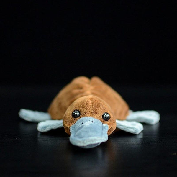 Platypus Stuffed Toy - Australia Gifts