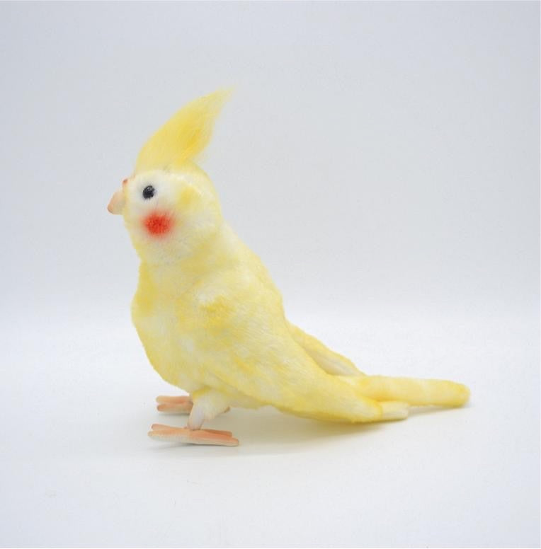 Cockatiel toys shop for sale