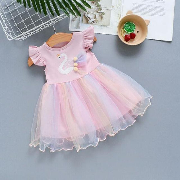 Tulle Skirt Baby Girl Dress