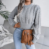Winter Knit Cropped Sweater