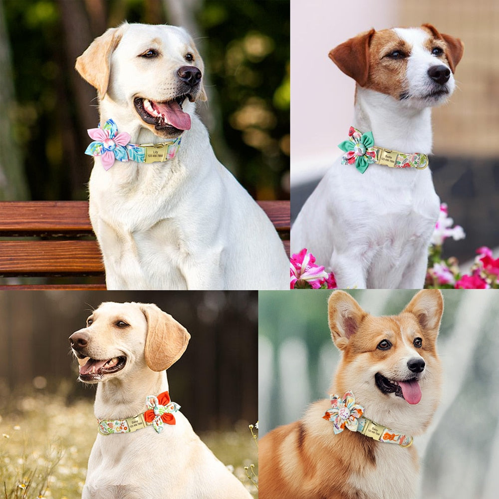 Custom ID Engraved Nylon Pet Dog Collar