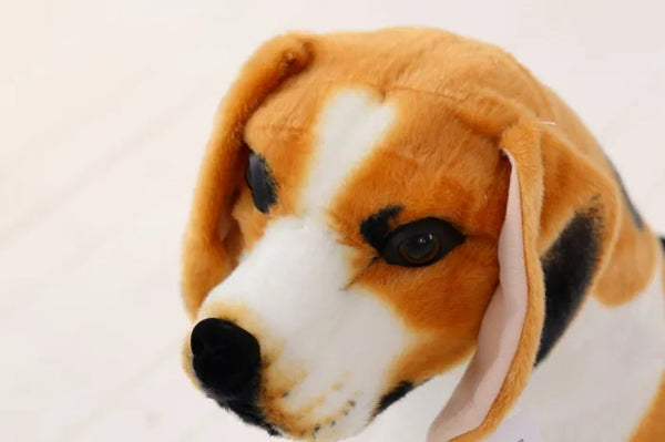 Beagle teddy top