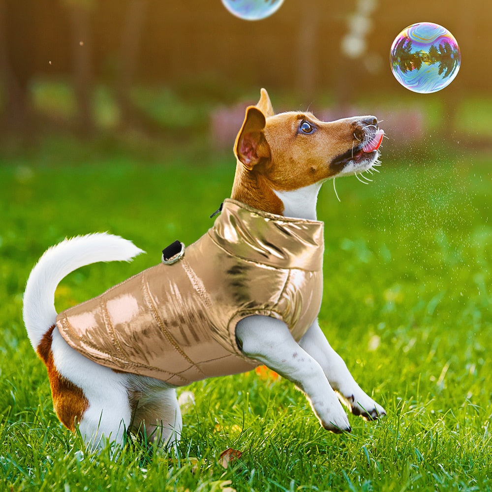 Waterproof Vest Coat Dog Clothes