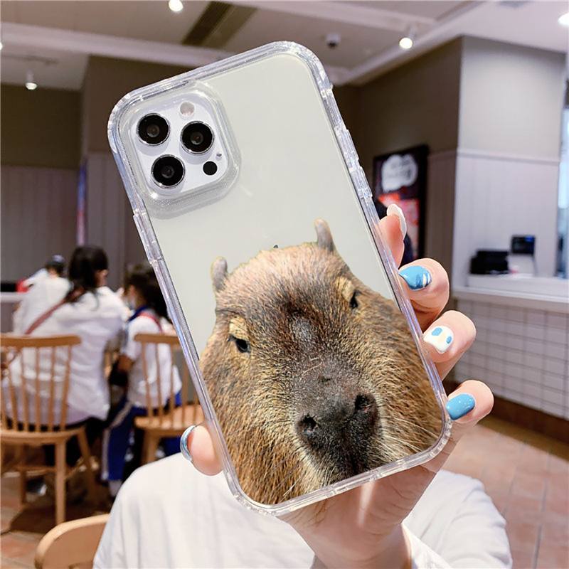 Cute Capybara Mobile Phone Case for iPhone