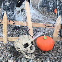 Halloween Decoration Props - Head and Hand Skull Skeleton
