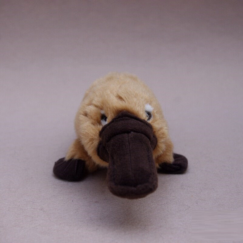 Platypus Plush Toy