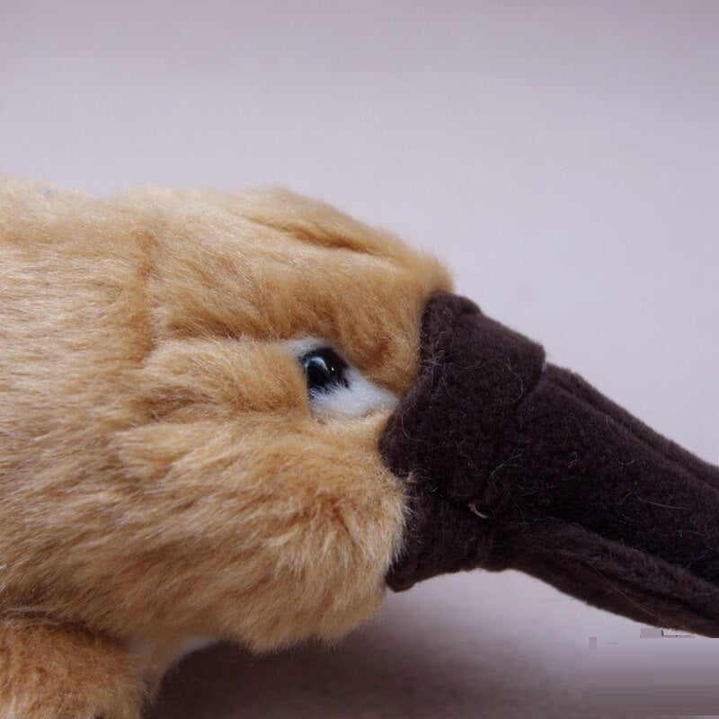 Platypus Plush Toy