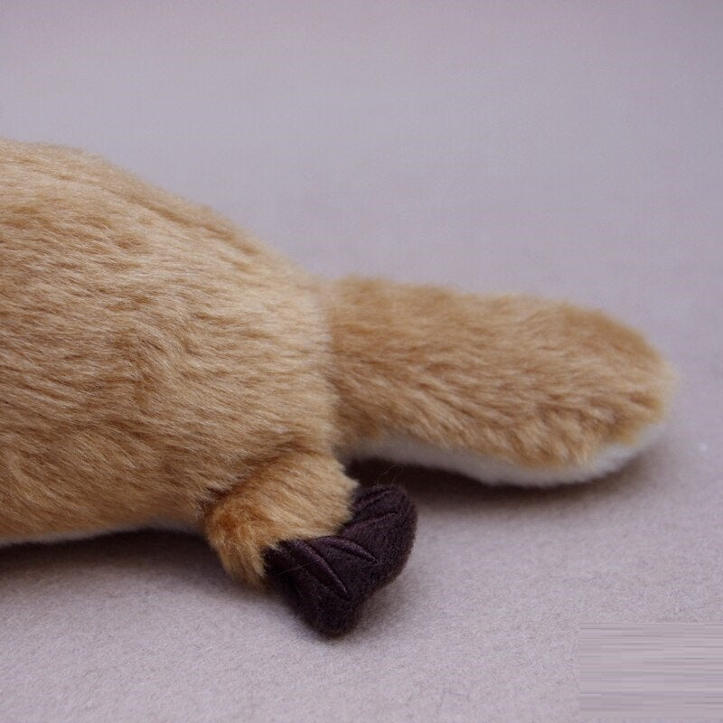 Platypus Plush Toy