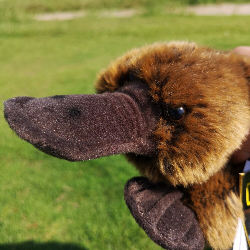 Brown Platypus Plush Toy