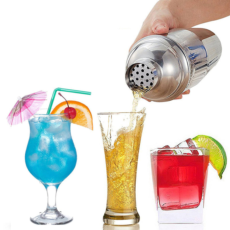 Stainless Steel Cocktail Mixer Kit