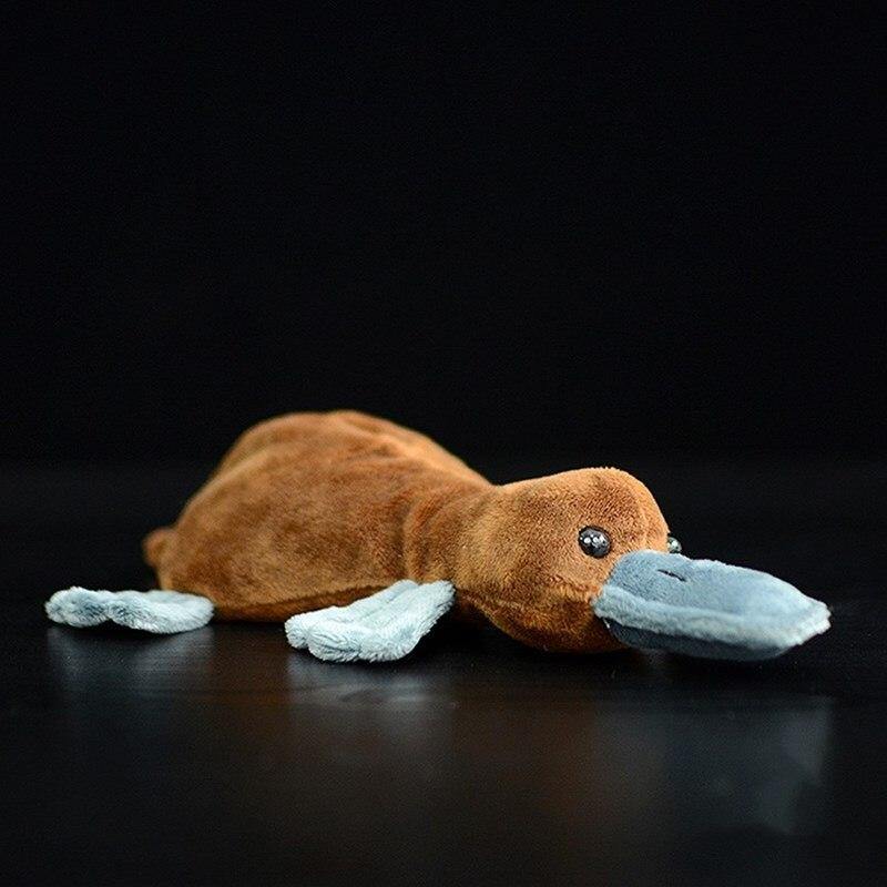 Platypus Stuffed Toy - Australia Gifts