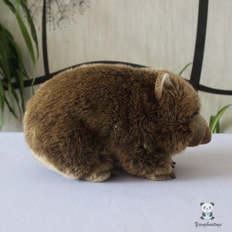 Rare Wombat Stuffed Toy - Australia Gifts