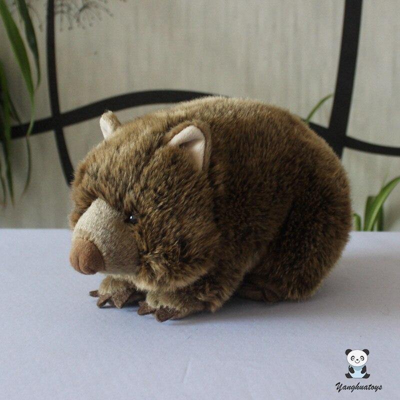 Rare Wombat Stuffed Toy - Australia Gifts