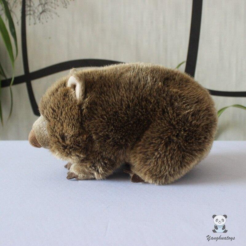 Rare Wombat Stuffed Toy - Australia Gifts