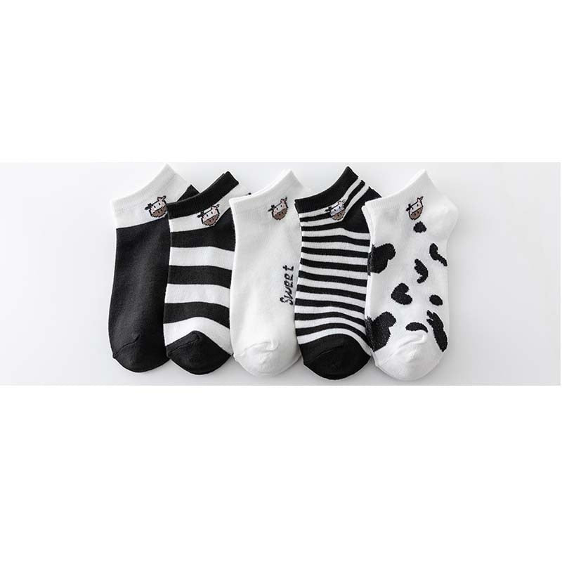 Cotton Socks Pack (5 pairs)