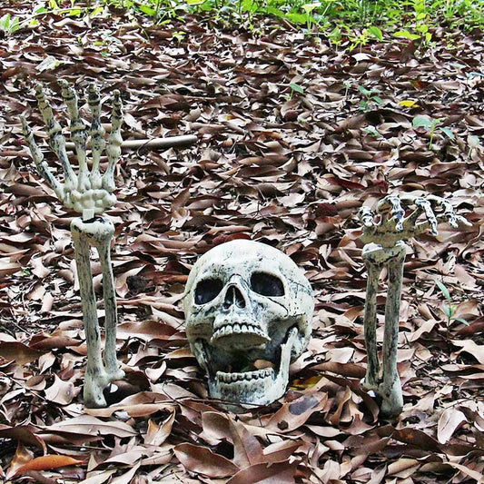 Halloween Decoration Props - Head and Hand Skull Skeleton