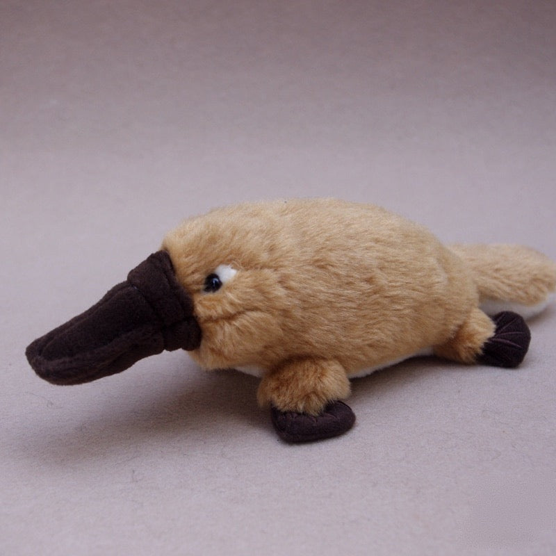 Platypus Plush Toy