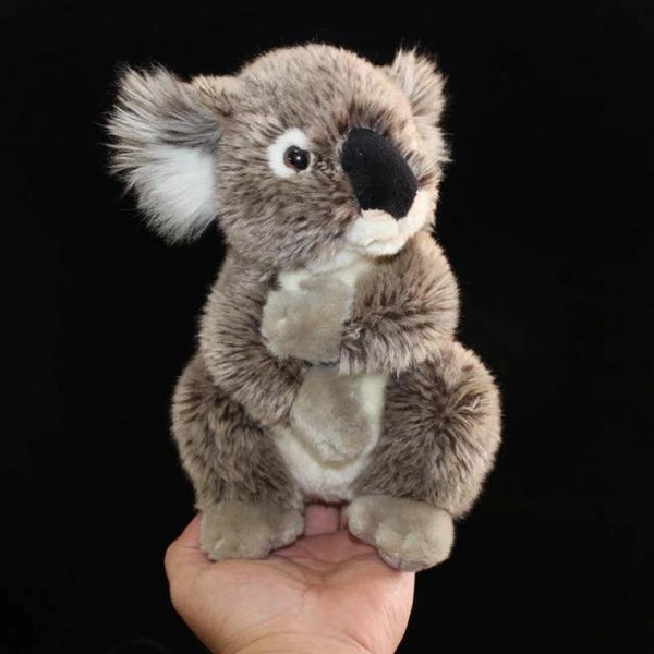 Very cute plush grey koala being shown by a human hand.