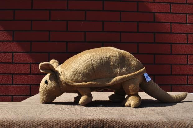 Brown Armadillo Plush Toy