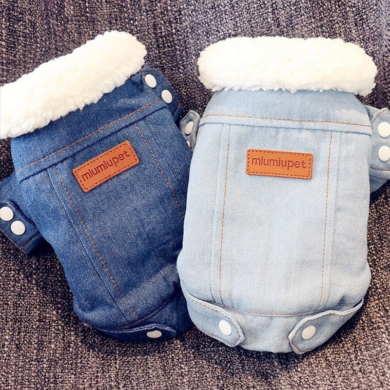 Winter Dog Jackets - Denim and Trench Coat