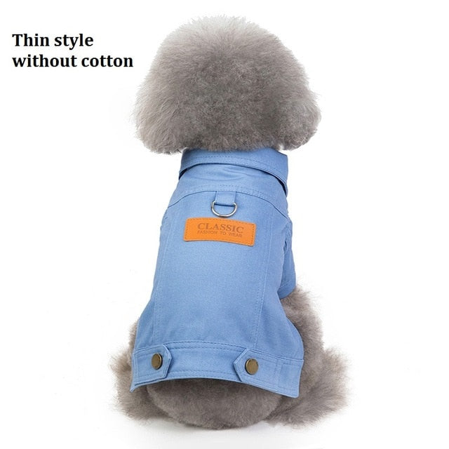 Winter Dog Jackets - Denim and Trench Coat