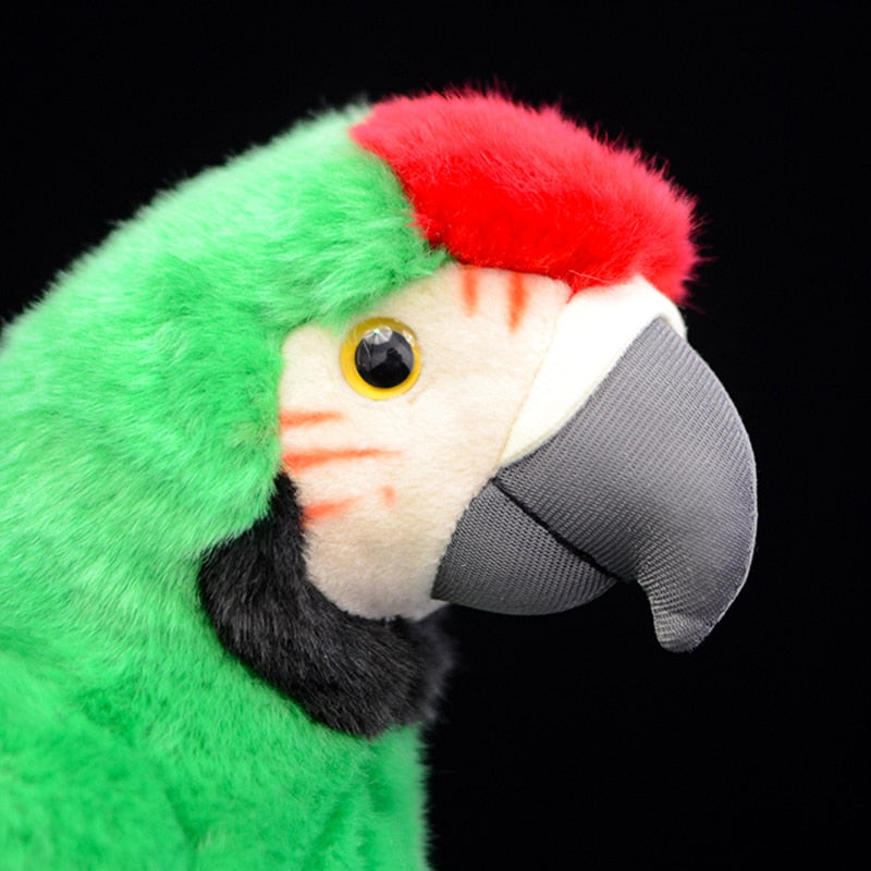 Macaw Plush Toy Simulation