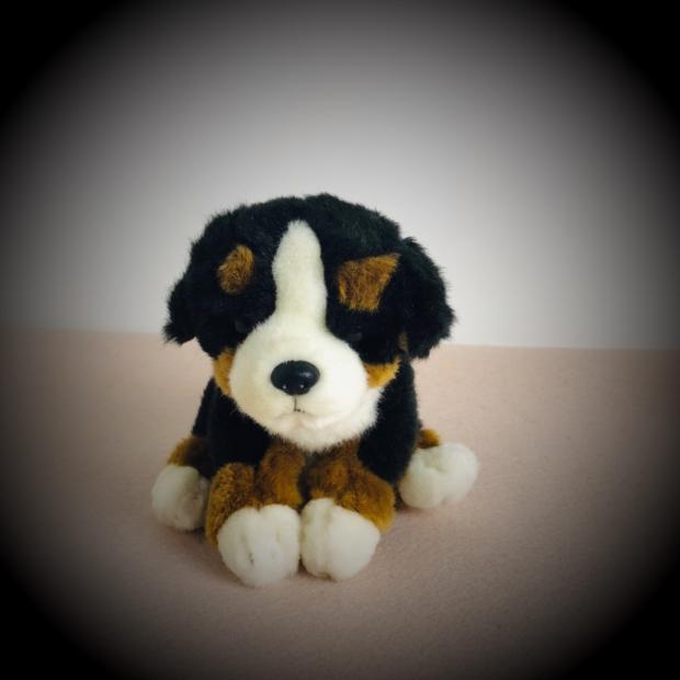 Bernese Mountain Dog Plush Toy