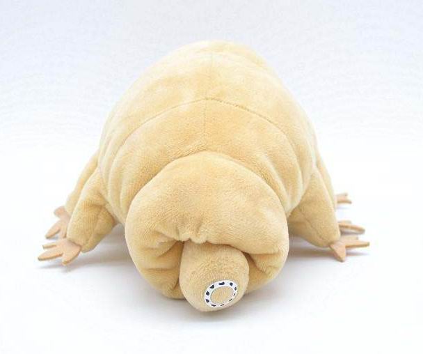 Water Bear Plush Toy - Tardigrade