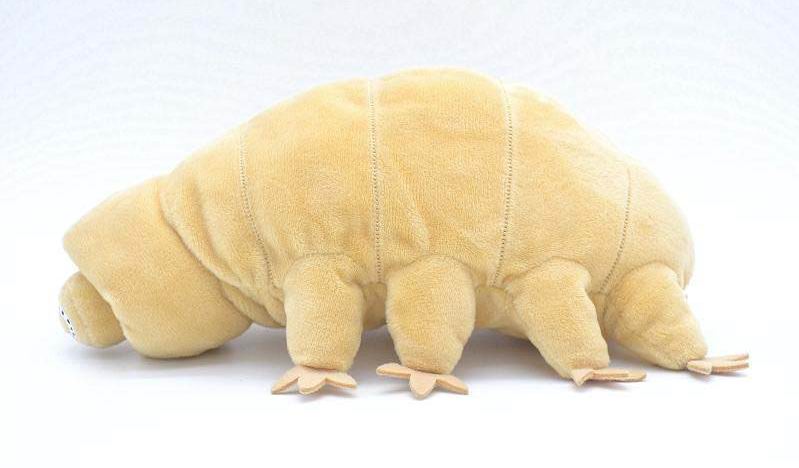 Water Bear Plush Toy - Tardigrade