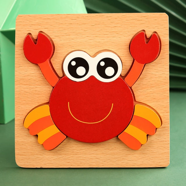 Educational Wooden Puzzles