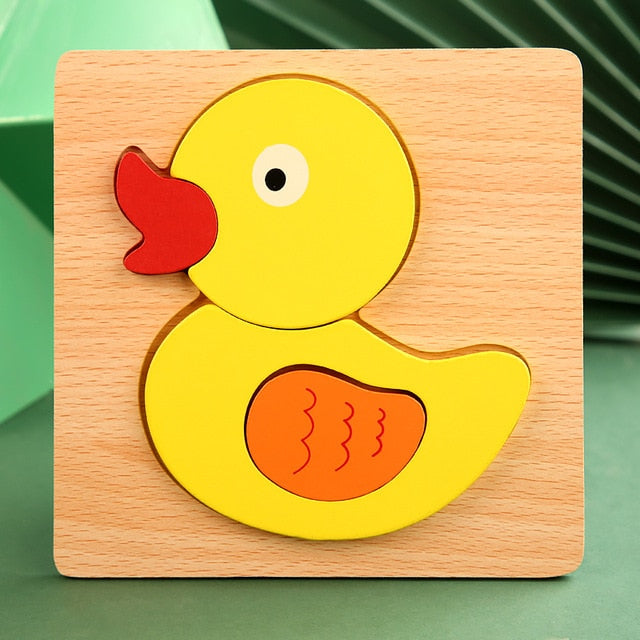 Educational Wooden Puzzles