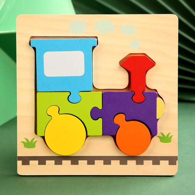 Educational Wooden Puzzles