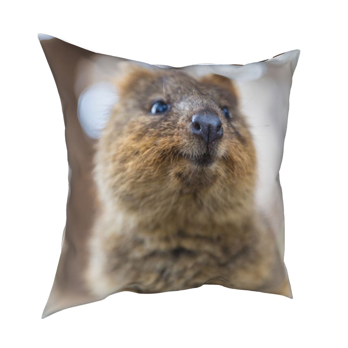 Quokka Cushion Cover