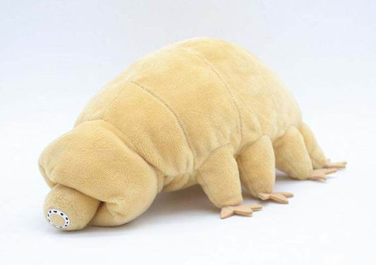 Water Bear Plush Toy - Tardigrade