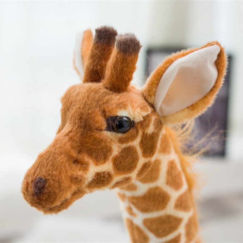 Giraffe Plush Toy