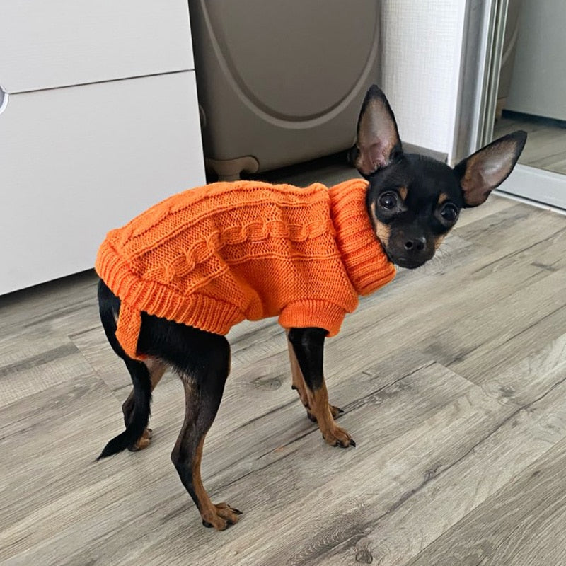 Knitted Cat & Dog Outfit