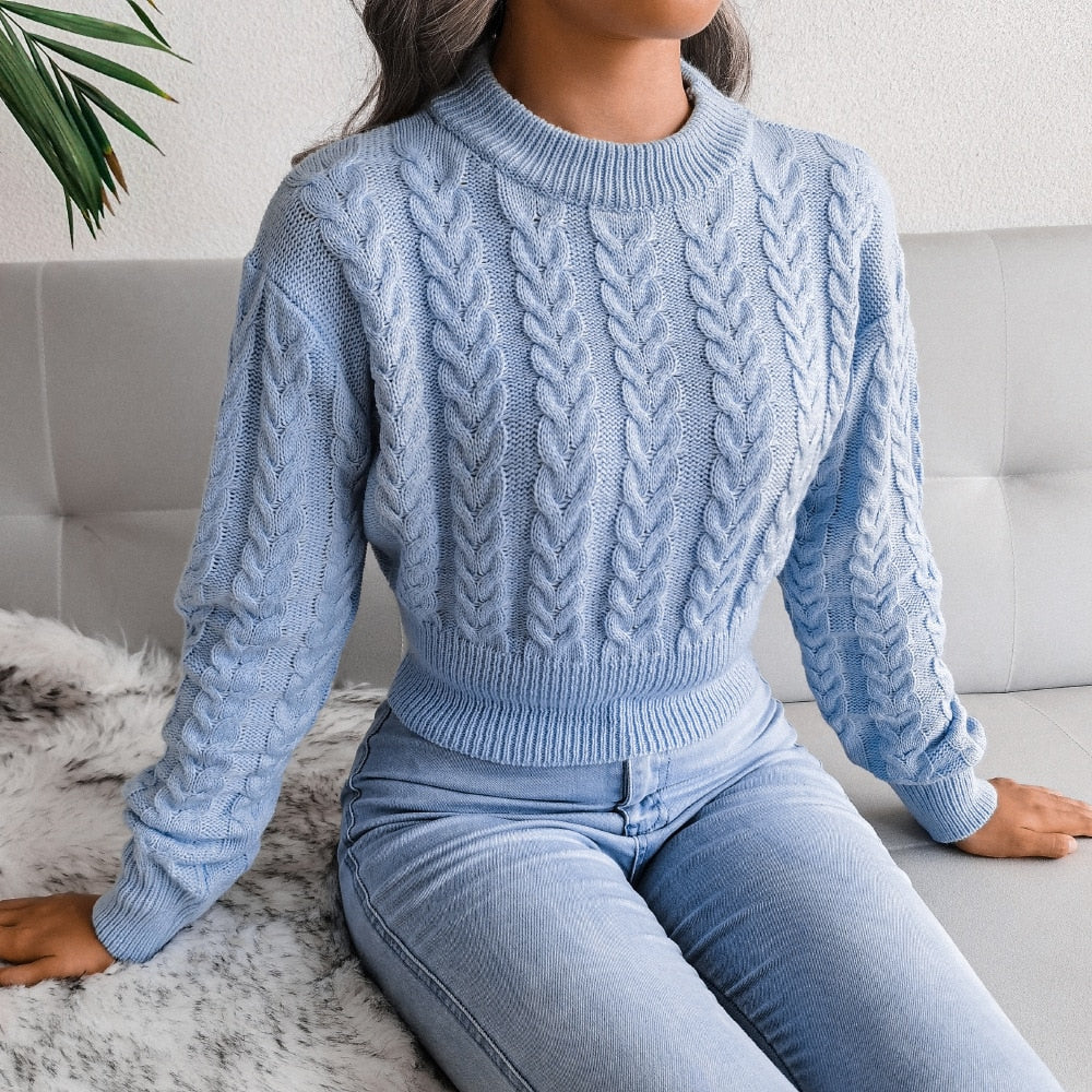 Winter Knit Cropped Sweater