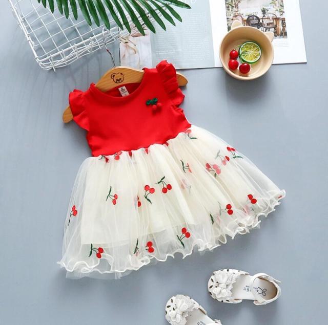 Tulle Skirt Baby Girl Dress